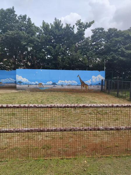 Empty enclosure with a painted sky